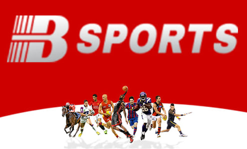 必一·运动(B-sports)官方网站