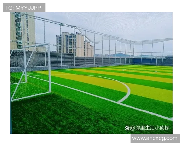 身高一米七的足球巨星如何在绿茵场上突破极限成就辉煌生涯